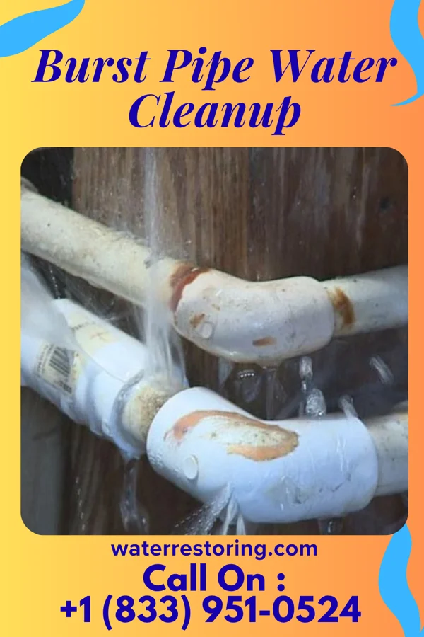 Burst Pipe Water Cleanup in Dunkirk, NY