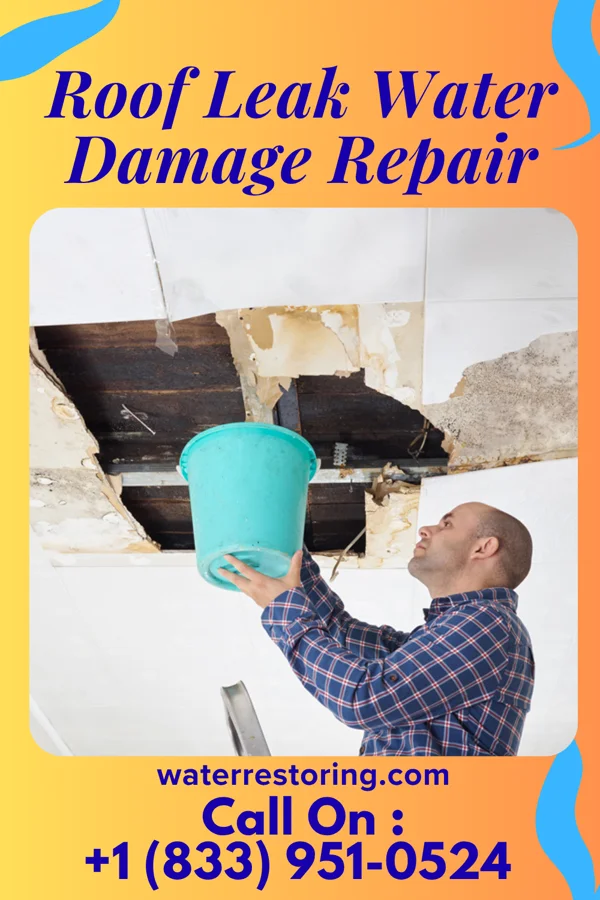 Roof Leak Water Damage Repair in Dunkirk, NY