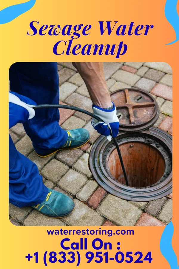 Sewage Water Cleanup in Dunkirk, NY